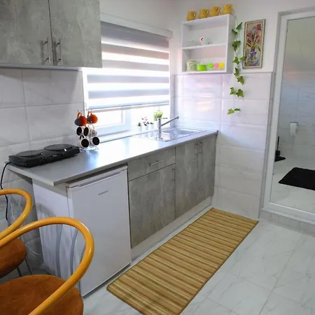 Apartment Dordevic Soko Banja