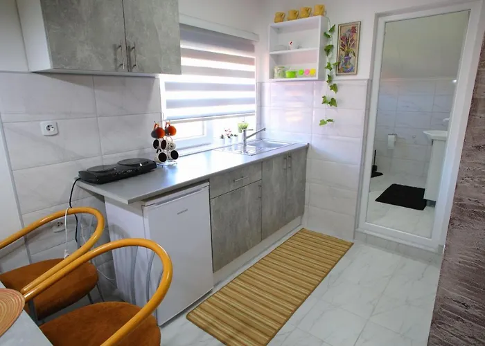 Διαμέρισμα Dordevic Soko Banja